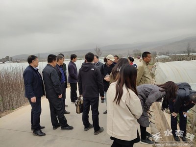 鄭州商品交易所深入天水開展馬鈴薯產(chǎn)業(yè)調(diào)研，助力期貨市場服務鄉(xiāng)村振興